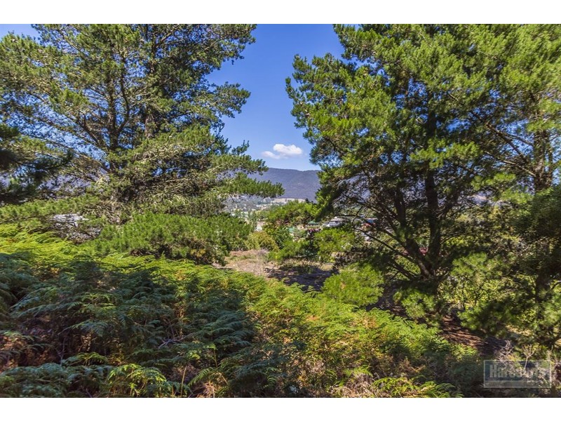 3 Elizabeth Street, Ranelagh TAS 7109