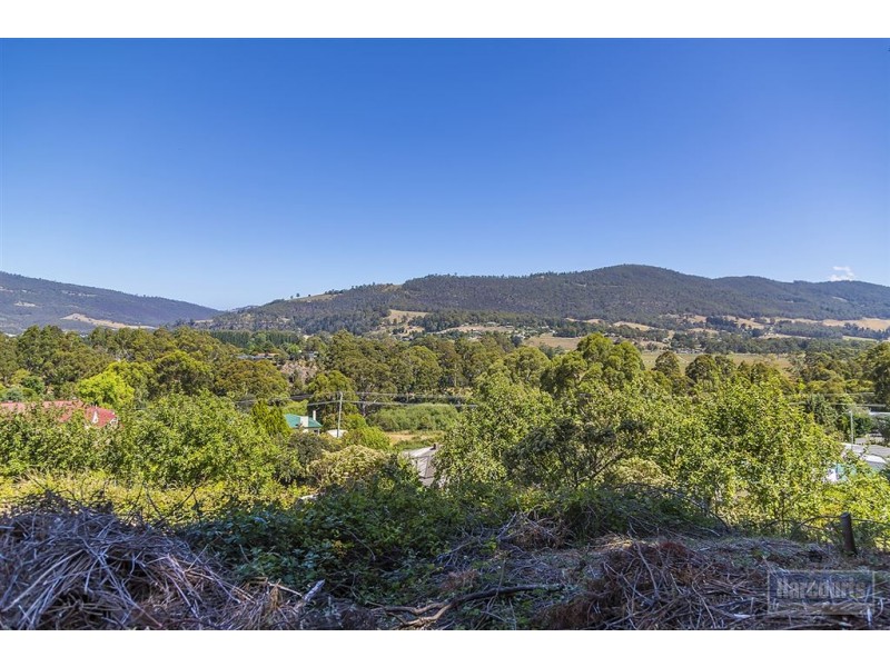 3 Elizabeth Street, Ranelagh TAS 7109