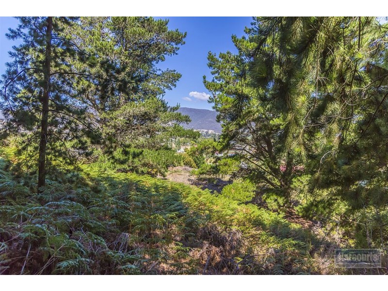 3 Elizabeth Street, Ranelagh TAS 7109