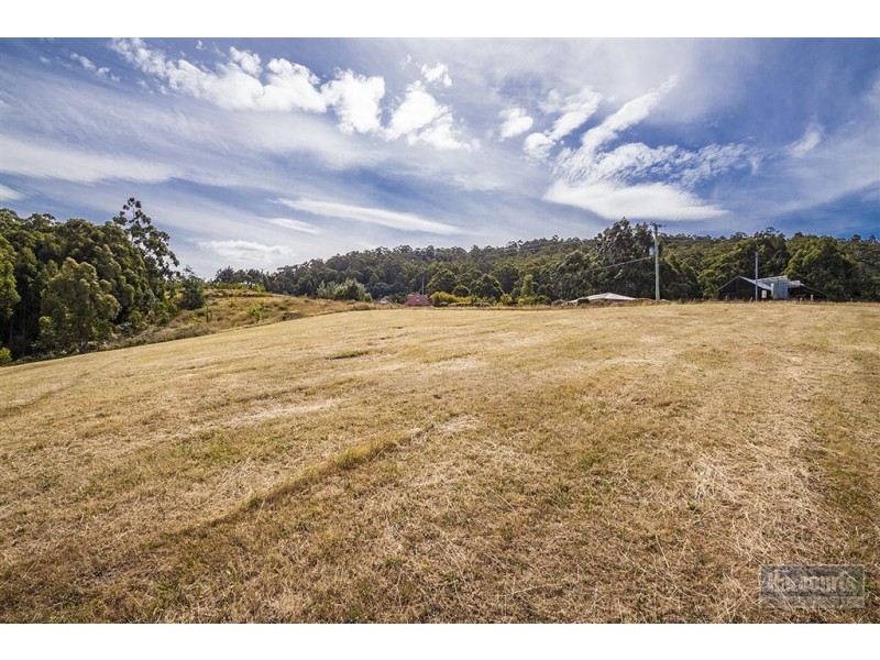 Lot 1 Fleurtys Road, Castle Forbes Bay TAS 7116