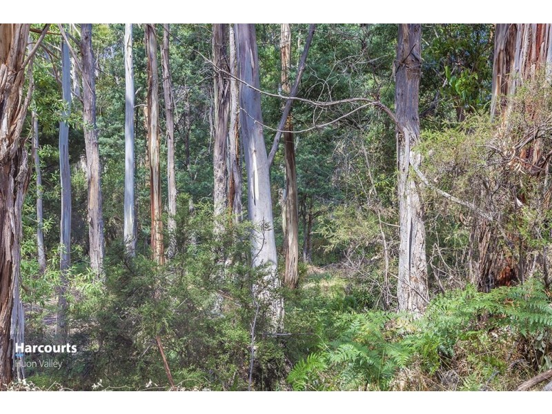 - Cliffords Road, Deep Bay TAS 7112