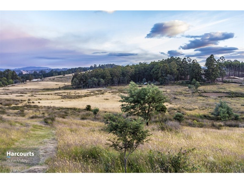 Lot 1 Braeside Road, Franklin TAS 7113