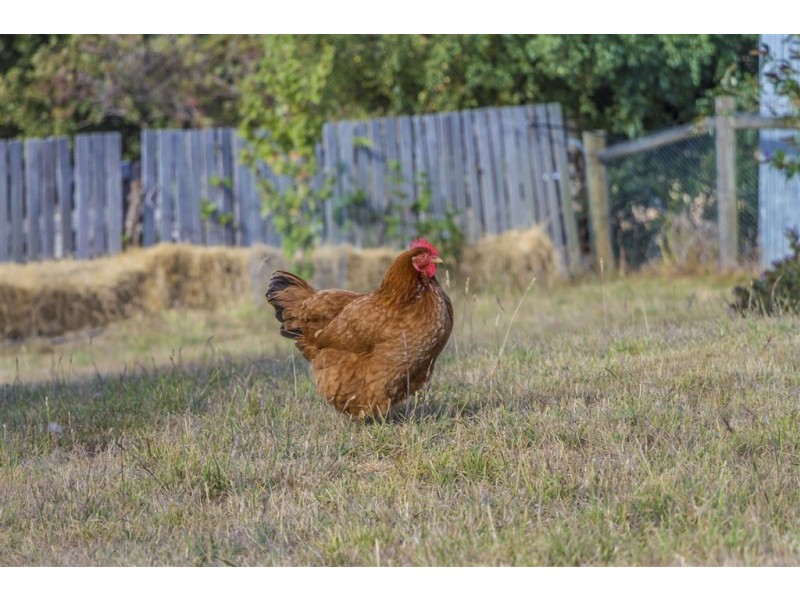 132 Deans Road, Glen Huon TAS 7109