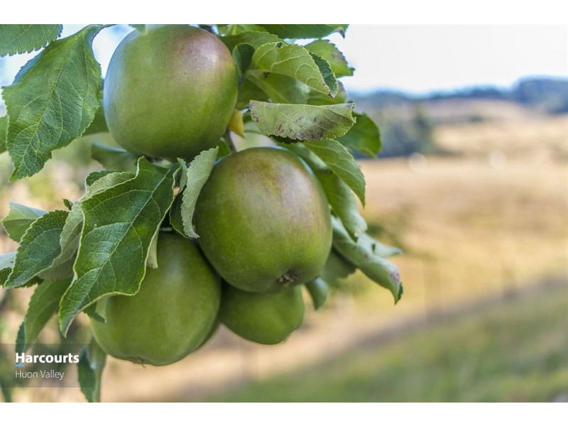 132 Deans Road, Glen Huon TAS 7109