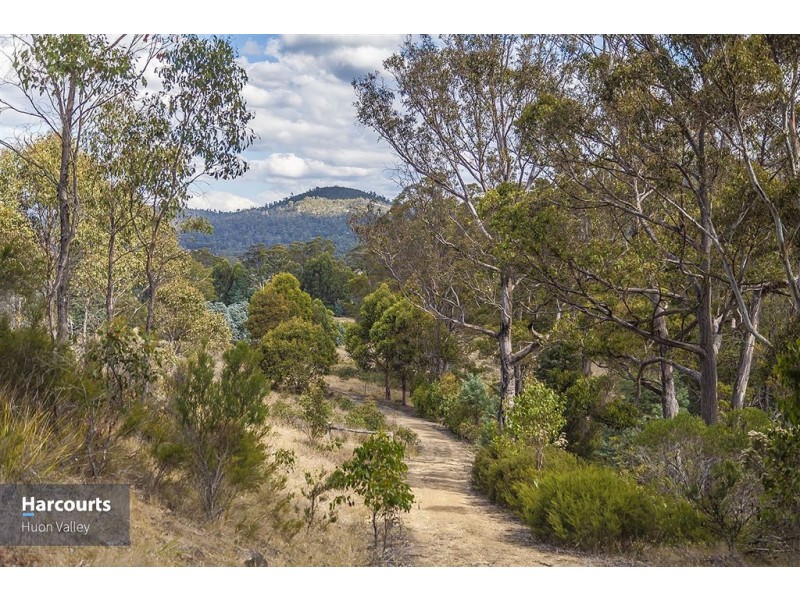 345 Woolleys Road, Lonnavale TAS 7109