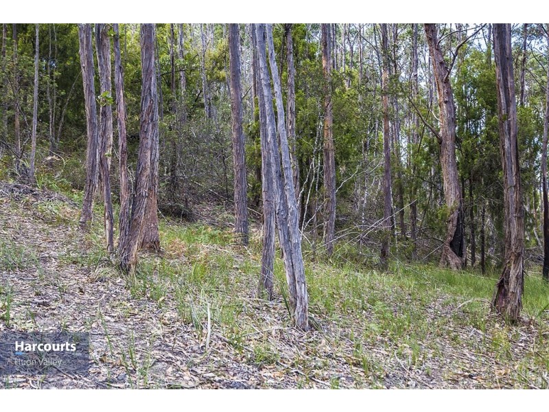 Lot 1 North Huon Road, Ranelagh TAS 7109