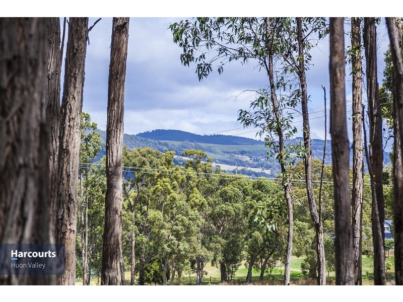 Lot 1 North Huon Road, Ranelagh TAS 7109