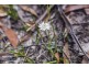 Lot 1 North Huon Road, Ranelagh TAS 7109