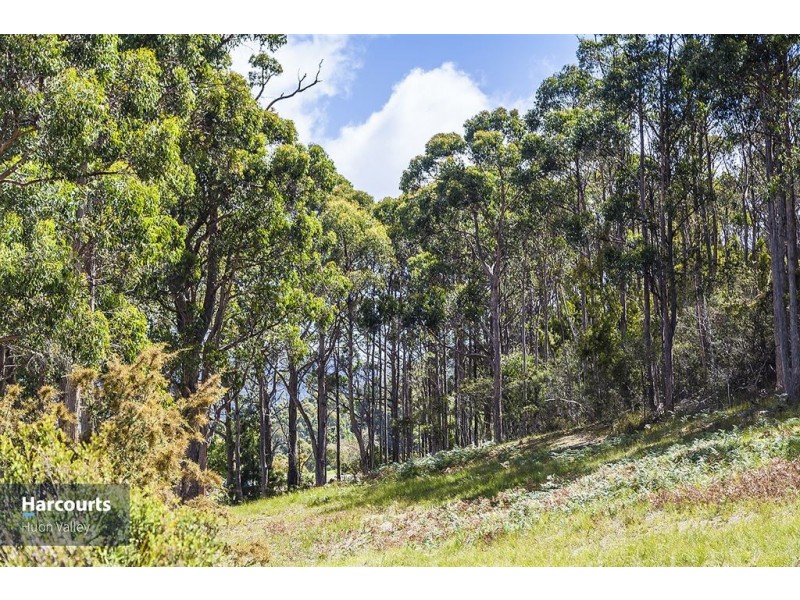 Lot 2 North Huon Road, Ranelagh TAS 7109
