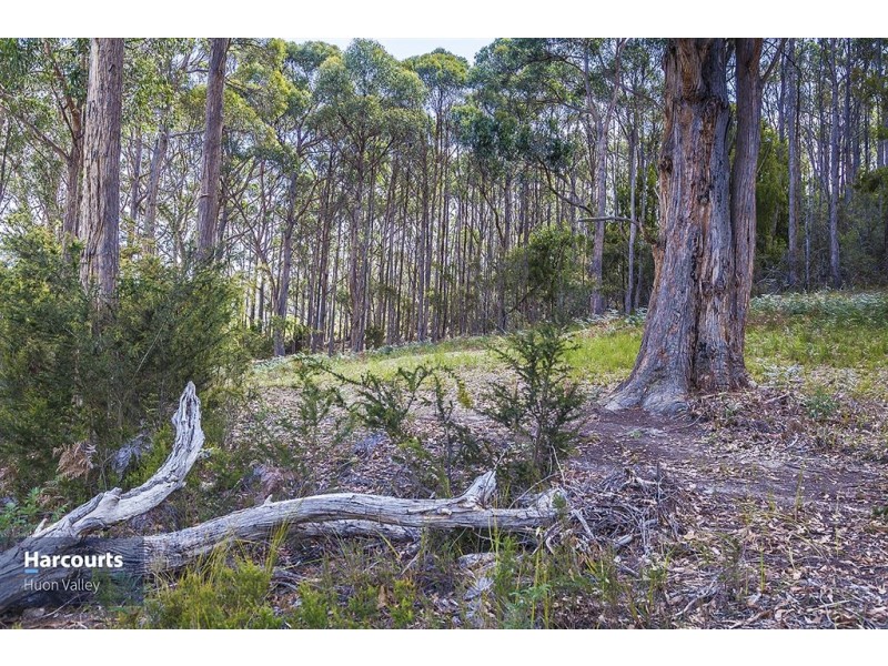 Lot 2 North Huon Road, Ranelagh TAS 7109