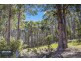 Lot 2 North Huon Road, Ranelagh TAS 7109