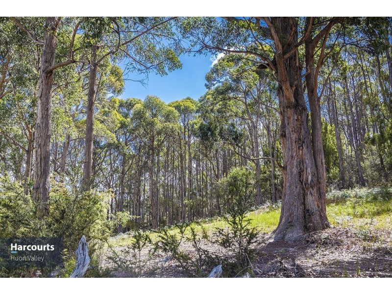 Lot 2 North Huon Road, Ranelagh TAS 7109