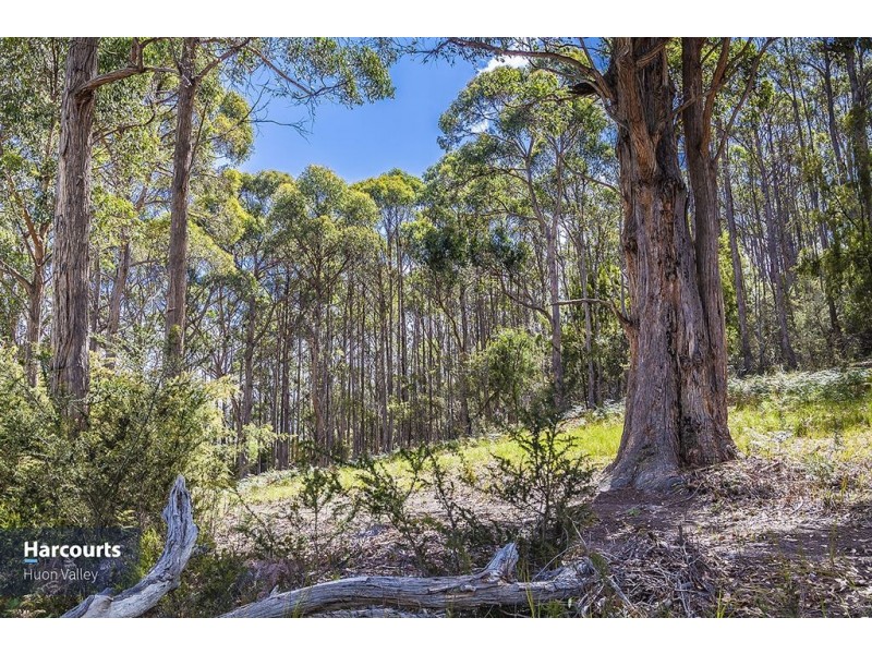 Lot 2 North Huon Road, Ranelagh TAS 7109