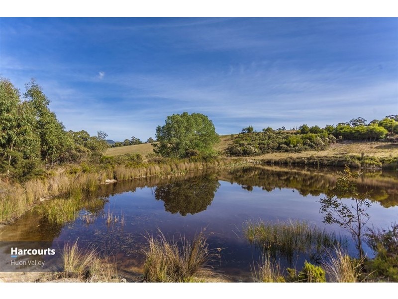 1278 Cygnet Coast Road, Lower Wattle Grove TAS 7109