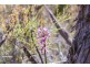 - Abels Bay Road Subdivision, Deep Bay TAS 7112