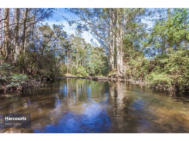 110 Fyfes Road, Mountain River TAS 7109