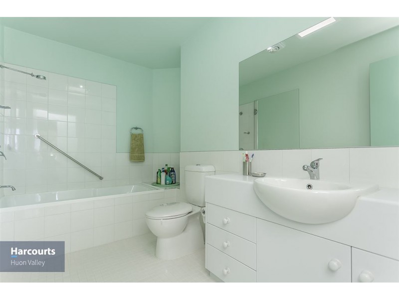 110 Fyfes Road, Mountain River TAS 7109