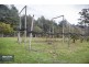 19 Emma Street, Cygnet TAS 7112