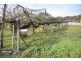 19 Emma Street, Cygnet TAS 7112