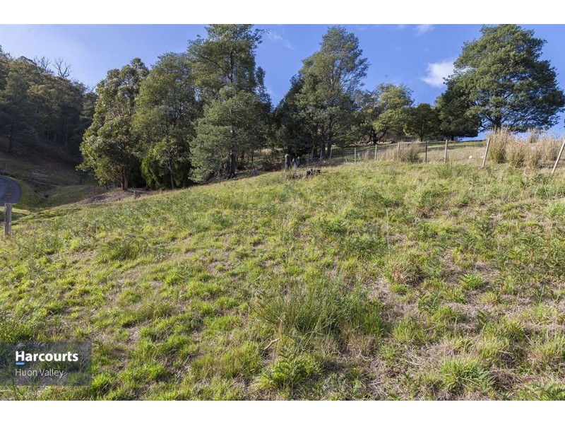RA Judds Creek Road, Judbury TAS 7109