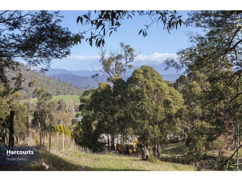RA Judds Creek Road, Judbury TAS 7109