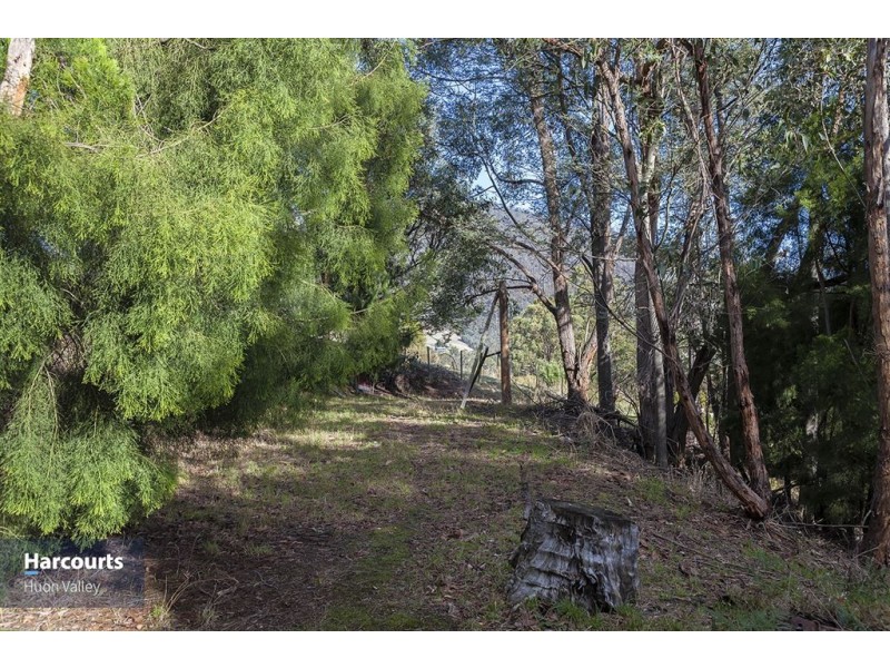 RA Judds Creek Road, Judbury TAS 7109