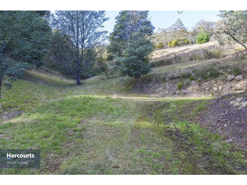 RA Judds Creek Road, Judbury TAS 7109