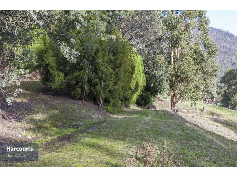 RA Judds Creek Road, Judbury TAS 7109