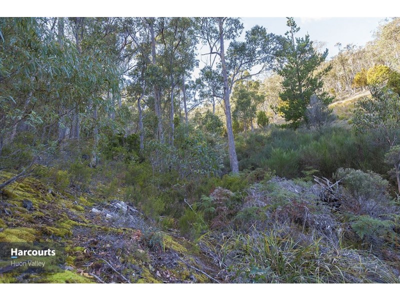 RA Judds Creek Road, Judbury TAS 7109