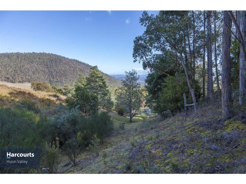 RA Judds Creek Road, Judbury TAS 7109