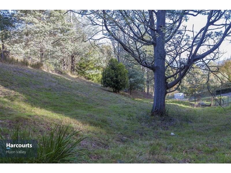 RA Judds Creek Road, Judbury TAS 7109