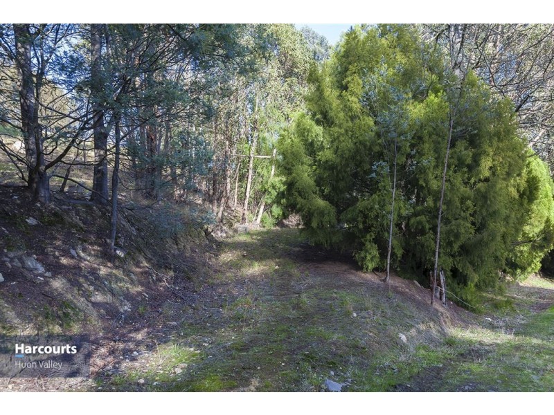 RA Judds Creek Road, Judbury TAS 7109