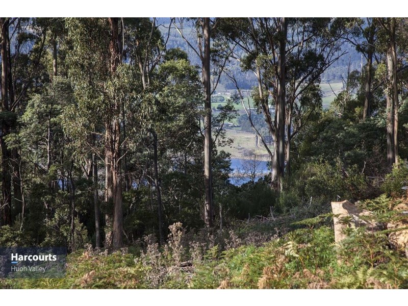 59 Ballantyne Heights, Franklin TAS 7113