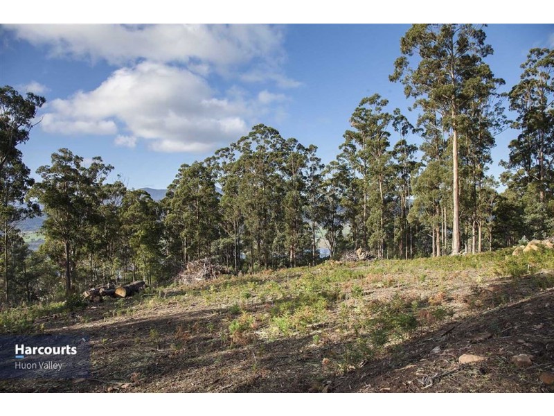 59 Ballantyne Heights, Franklin TAS 7113