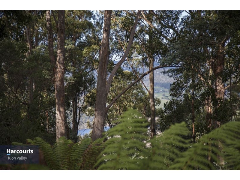 59 Ballantyne Heights, Franklin TAS 7113