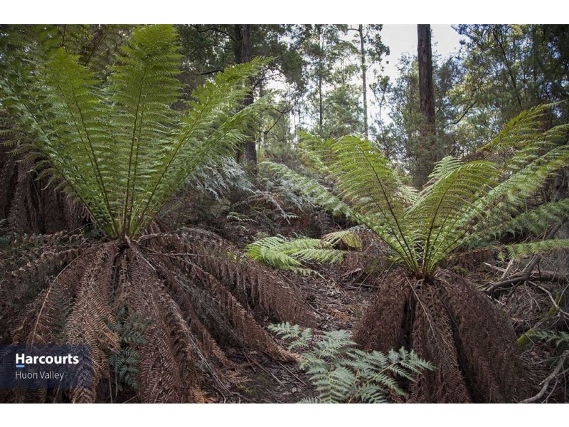 59 Ballantyne Heights, Franklin TAS 7113