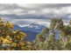 98 Pine Lodge Road, Glen Huon TAS 7109