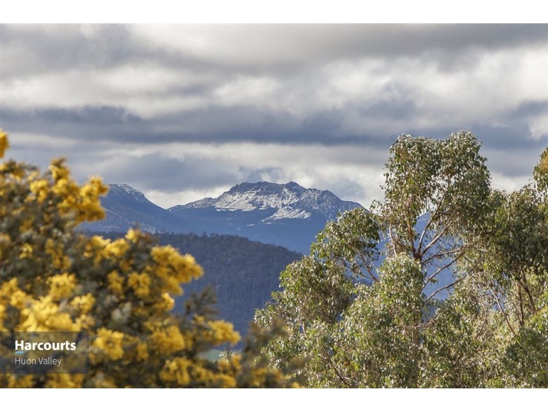 98 Pine Lodge Road, Glen Huon TAS 7109