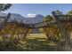 5 Misty Hill Road, Mountain River TAS 7109
