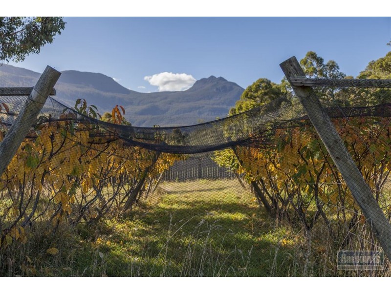 5 Misty Hill Road, Mountain River TAS 7109