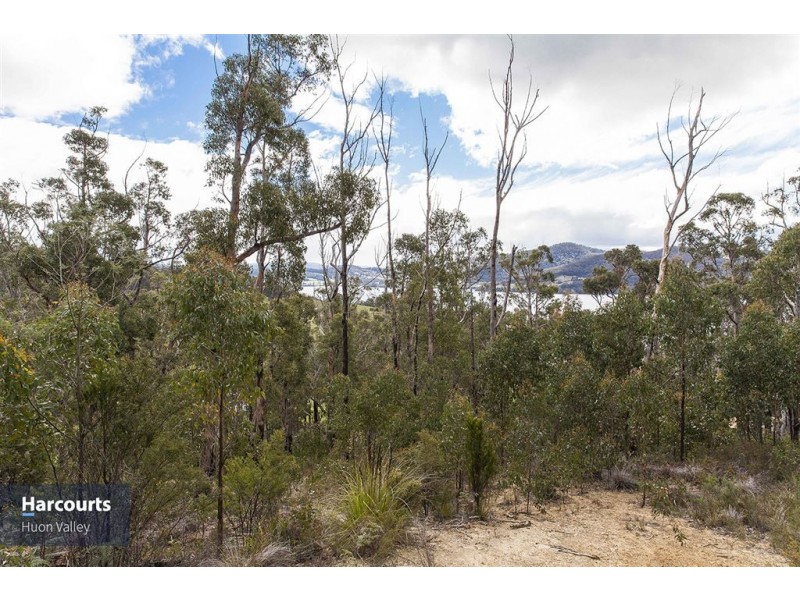 Lot 1 Eva Gully Road, Brooks Bay TAS 7116
