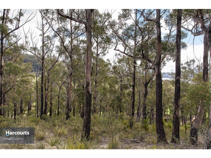 Lot 1 Eva Gully Road, Brooks Bay TAS 7116