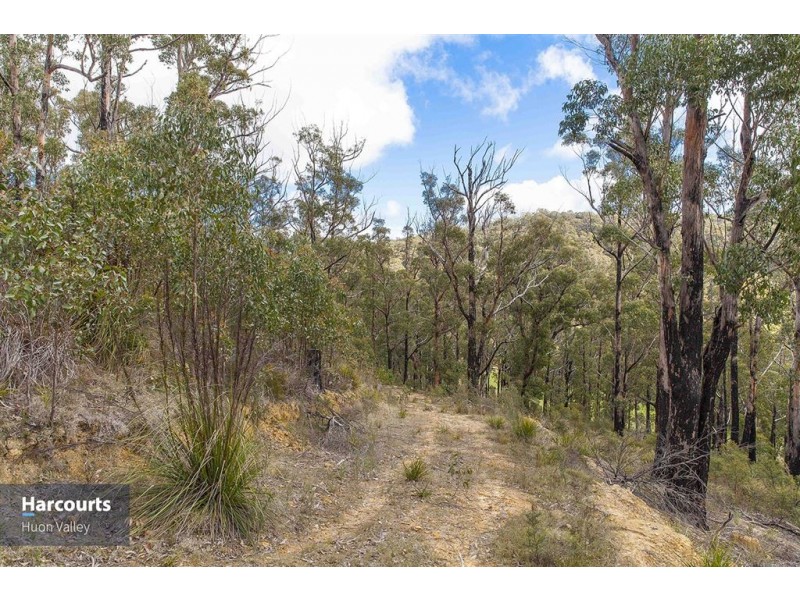 Lot 1 Eva Gully Road, Brooks Bay TAS 7116