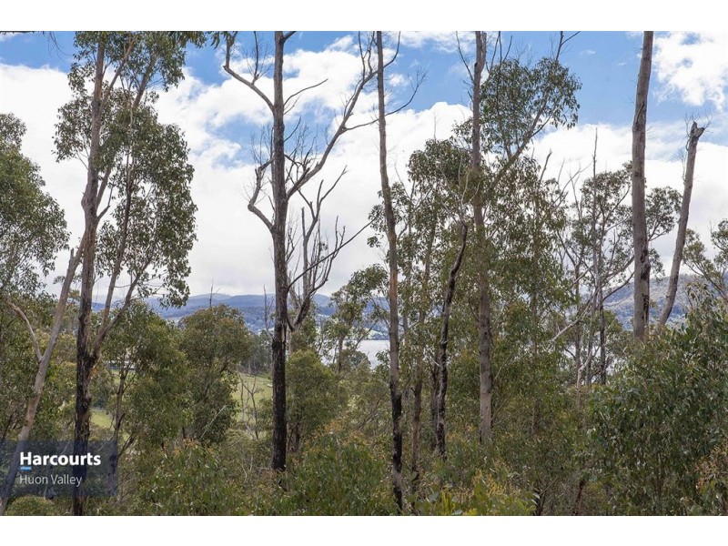 Lot 1 Eva Gully Road, Brooks Bay TAS 7116
