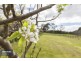17 Jacksons Road, Franklin TAS 7113