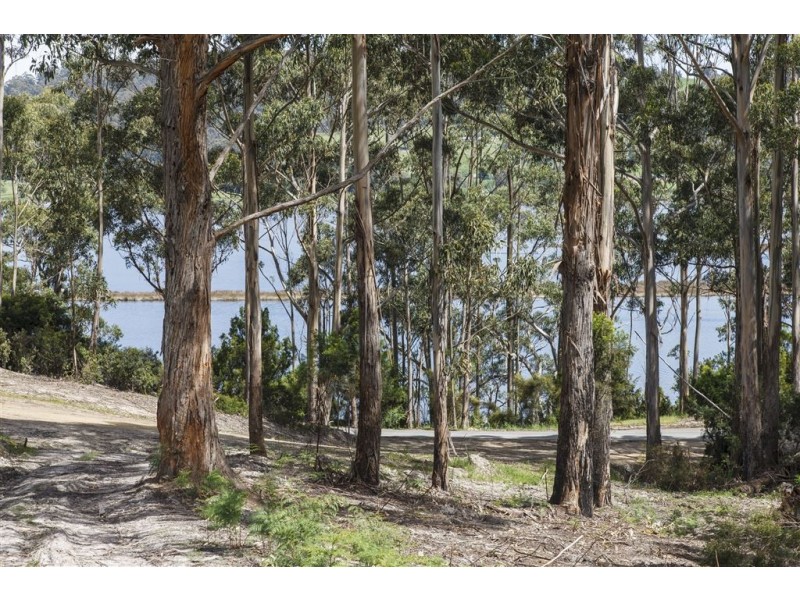 Lot 1-1640 Cygnet Coast Road, Cradoc TAS 7109