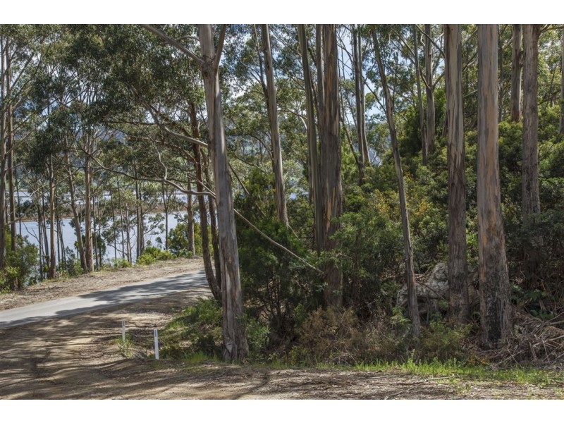 Lot 1-1640 Cygnet Coast Road, Cradoc TAS 7109