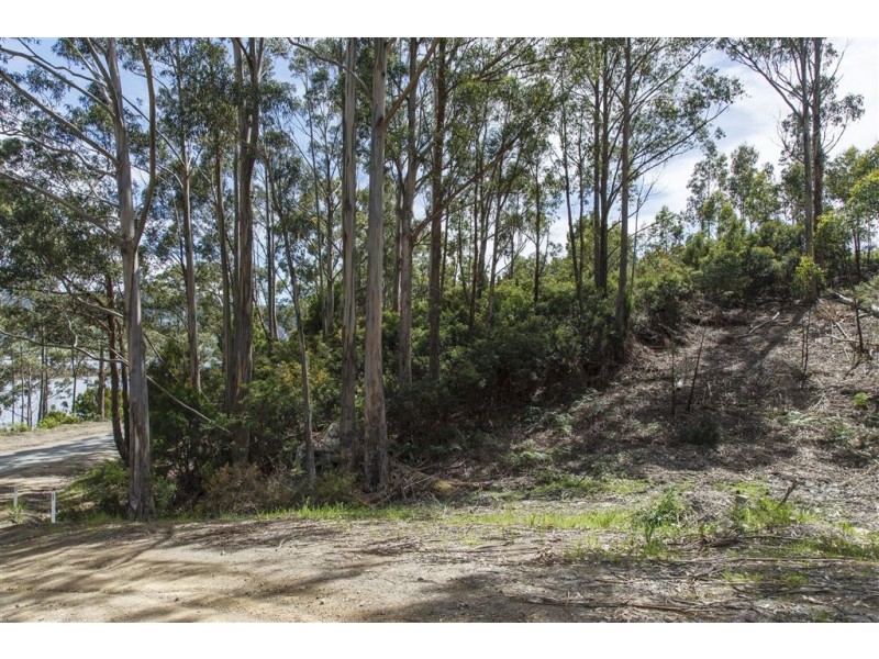 Lot 1-1640 Cygnet Coast Road, Cradoc TAS 7109