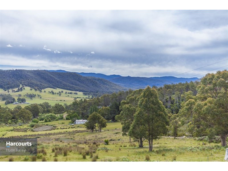 222 Woolleys Road, Lonnavale TAS 7109