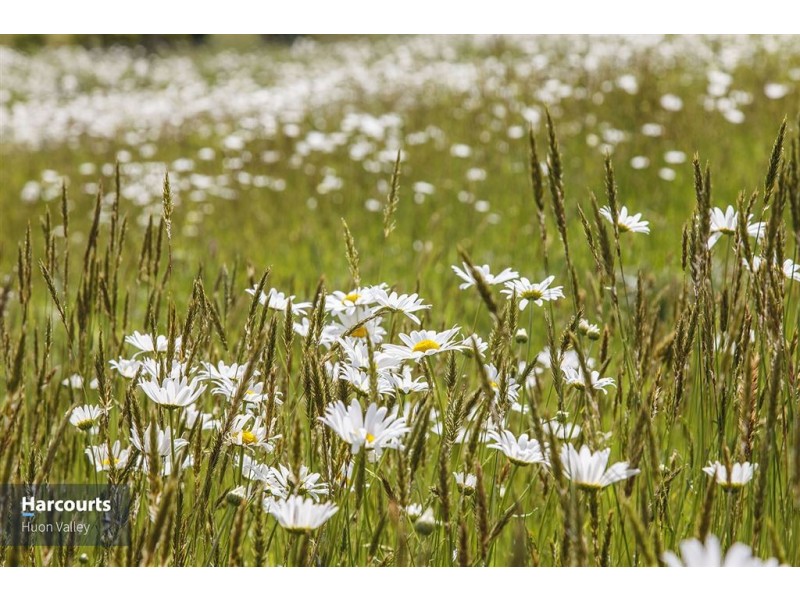 270 Lucaston Road, Lucaston TAS 7109